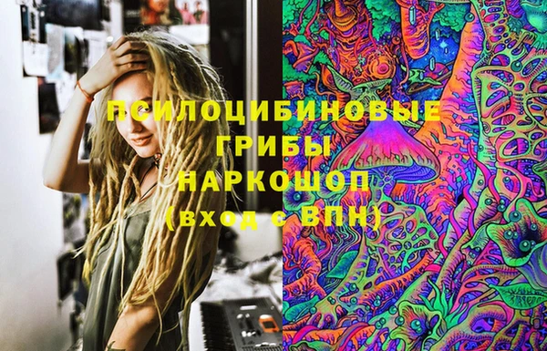 дмт Сосновый Бор