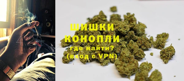 дмт Сосновый Бор