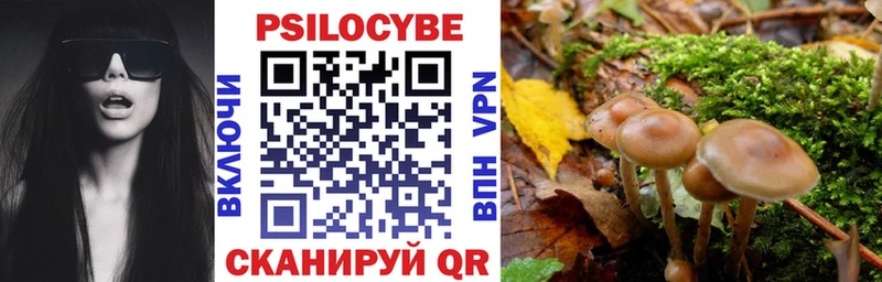 цены наркотик mega ТОР Галлюциногенные грибы Magic Shrooms Каменногорск